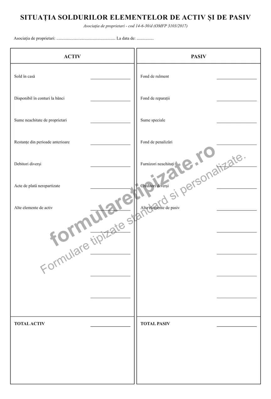 Situația soldurilor elementelor de activ și de pasiv